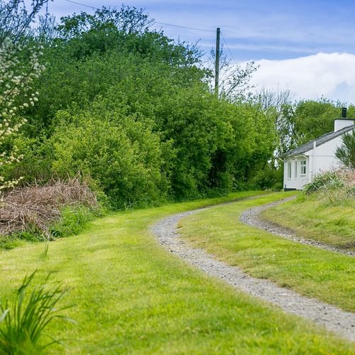 Tyn Llidiart Bodorgan Anglesey lane leading to cottage 3 1920x1080