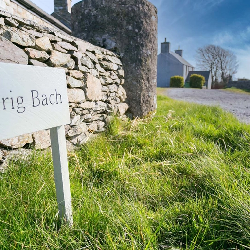 Tregynrig Bach