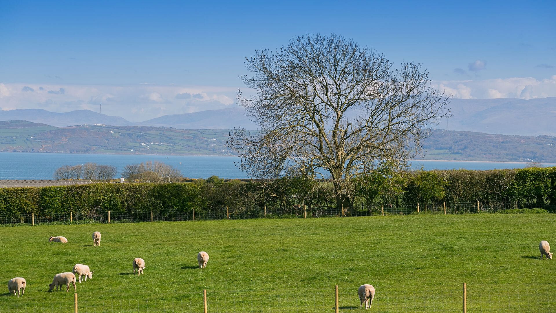 2 Trem Y Mor Moelfre Anglesey view from garden 2 1920x1080