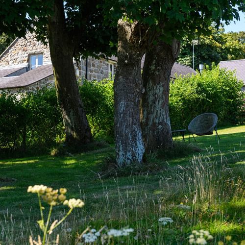5 Bodafon Moelfre Anglesey garden 1920x1080