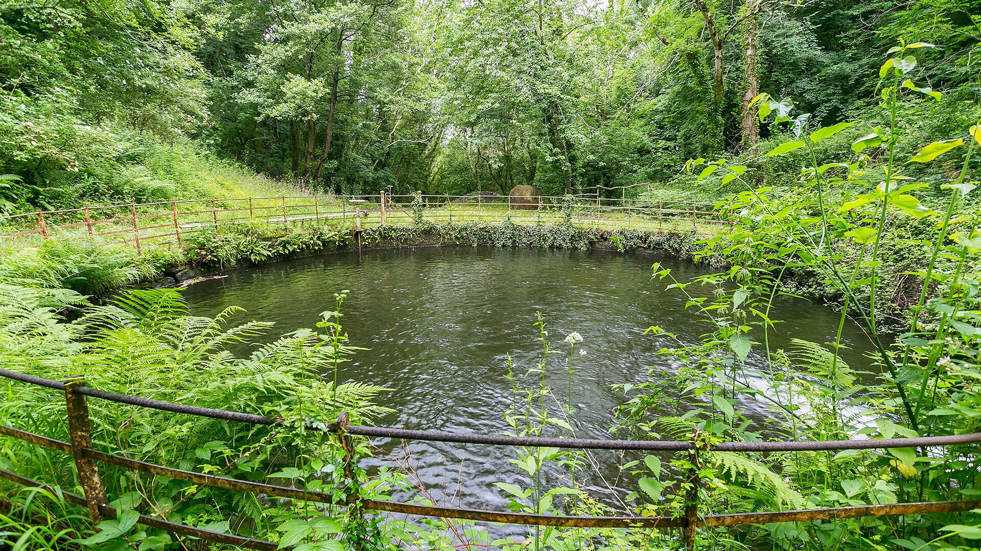 Cae Mab Dafydd Llanfairfechan Conwy woodland pool 2 1920x1080