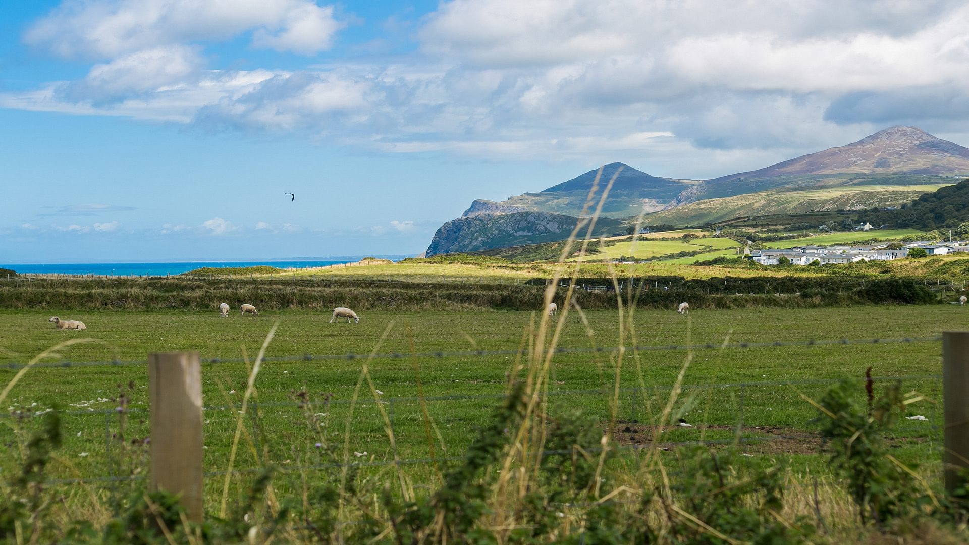 Ceg Y Bae Caeau Capel Rhodfar Mor Nefyn Gwynedd LL53 6 EB field 1920x1080