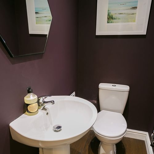 Craig Hyfryd Beaumaris Anglesey burgundy bathroom 1920x1080
