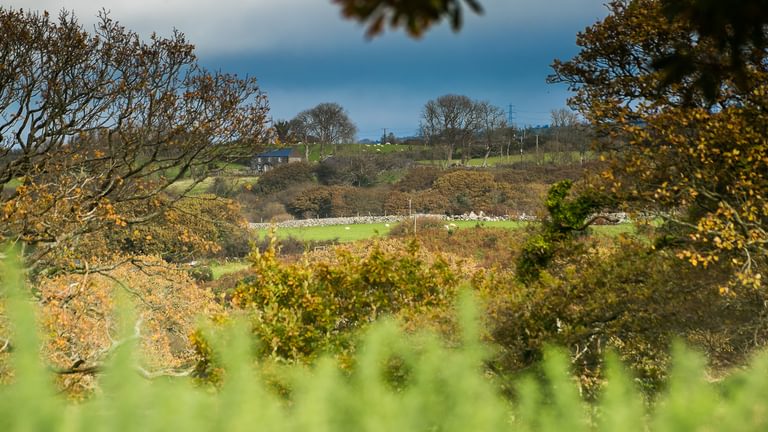 Crib Y Nantell Pontllyfni Gwynedd LL545 EU house 1920x1080