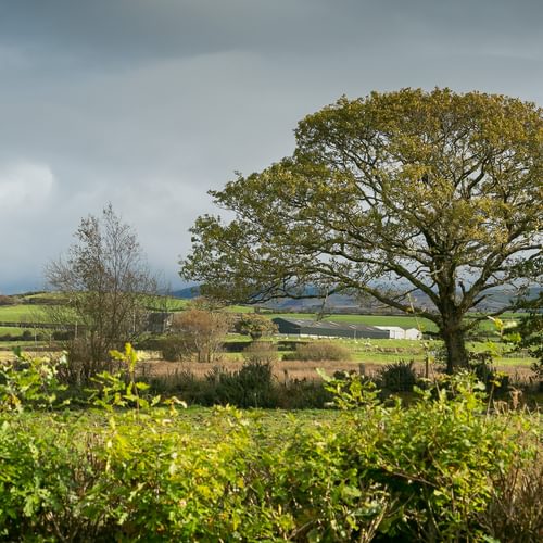 Crib Y Nantell Pontllyfni Gwynedd LL545 EU mist 1920x1080