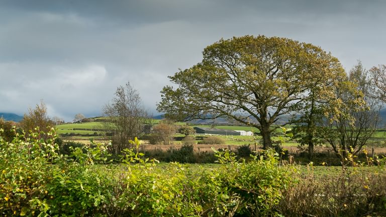 Crib Y Nantell Pontllyfni Gwynedd LL545 EU mist 1920x1080