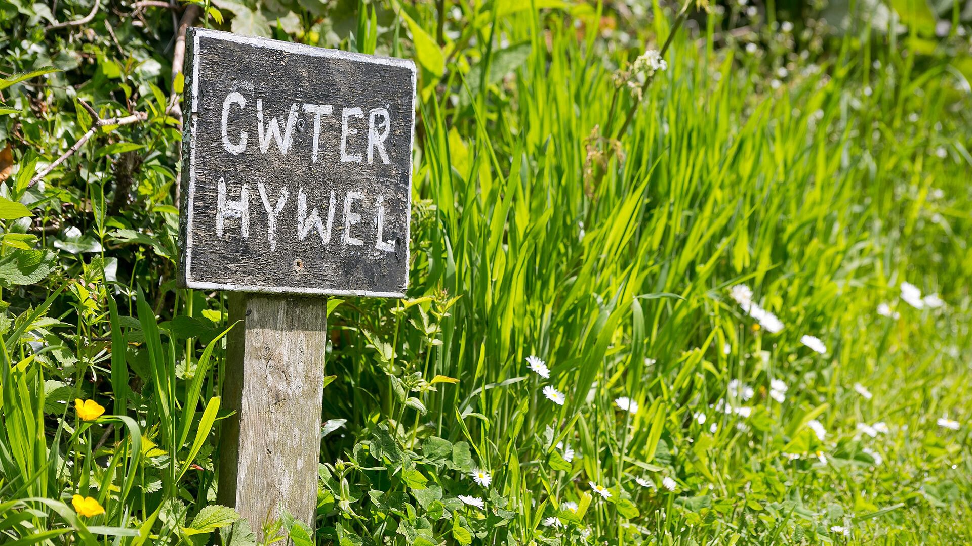 Cwter Hywel Llanerchymedd Anglesey garden sign 1920x1080