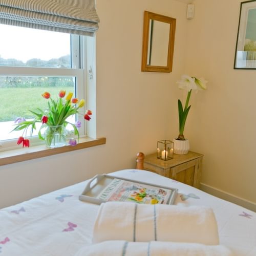 Amaryllis in bedroom Ty Gwyn Llanddona Anglesey Boltholes and hideaways by the beach