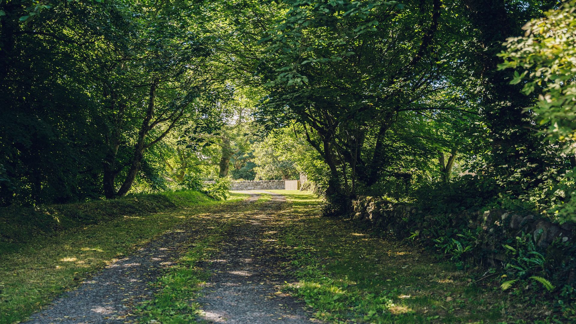 Bodfan Bach Dinas Dinlle Gwynedd LL545 TN trees 1920x1080