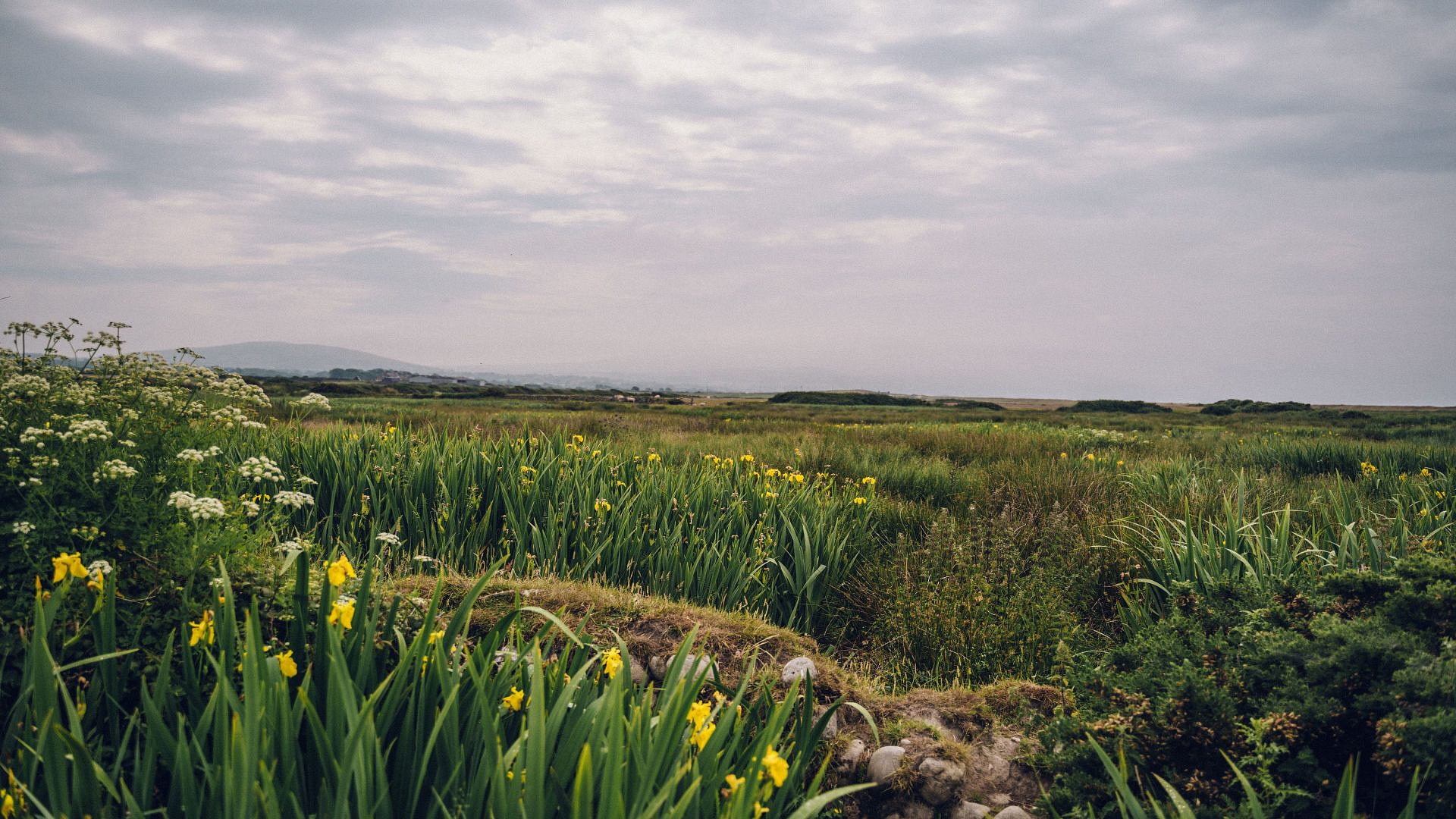 Bodfan Bach Dinas Dinlle Gwynedd LL545 TN iris 1920x1080