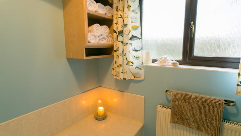 Boltholes and H Ideaways Erw Fach downstairs bathroom family 1620