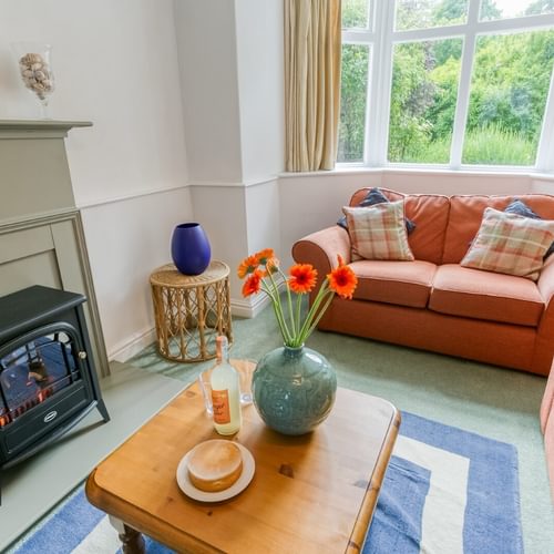 Boltholes and Hideaways Anglesey Plas Lligwy electric fire