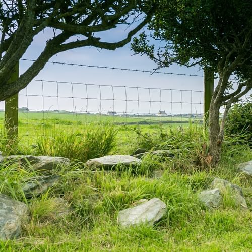Boltholes and Hideaways Bettws Farmhouse Cemaes Bay fencing