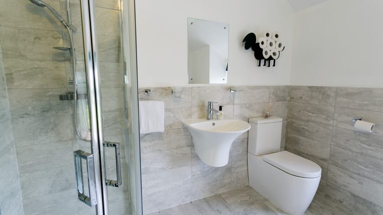 Boltholes and Hideaways Bettws Farmhouse Cemaes Bay shower to lavatory