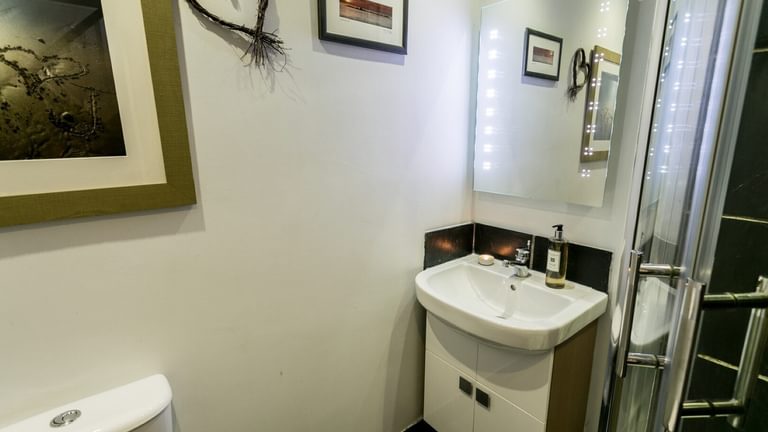 Boltholes and Hideaways Bwthyn Bach Church Bay shower room