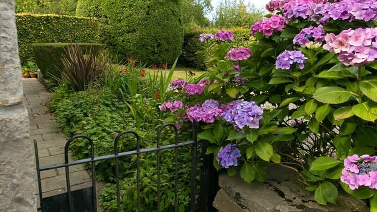 Boltholes and Hideaways Honey Hill Cottage Llangoed garden gate
