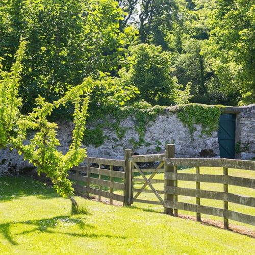 Boltholes and Hideaways Plas Lligwy garden fencing