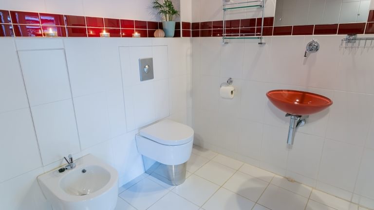 Boltholes and Hideaways Tal Y Bont Uchaf Stables Hobby and Merlin Suite shower room basin 1620