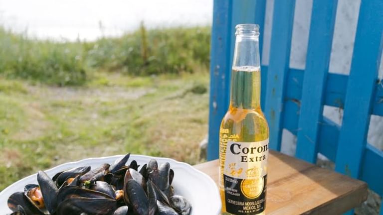 Boltholes and Hideaways Tyn Towyn by the beach Anglesey fish on line mussels 1619