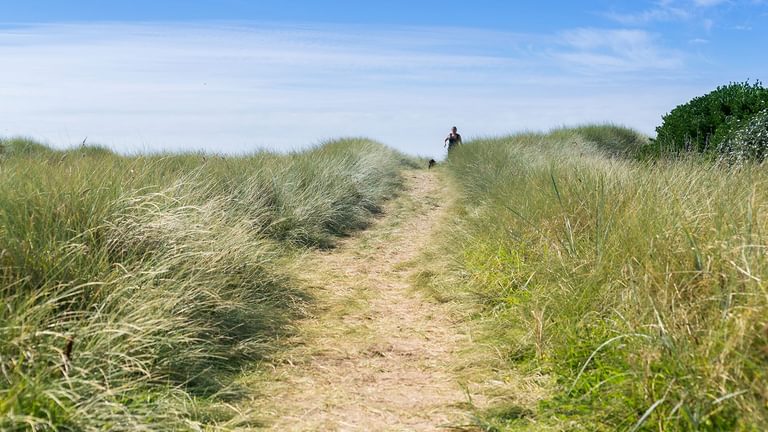 Borth Bach Rhosneigr Anglesey traeth llydan dunes 1920x1080