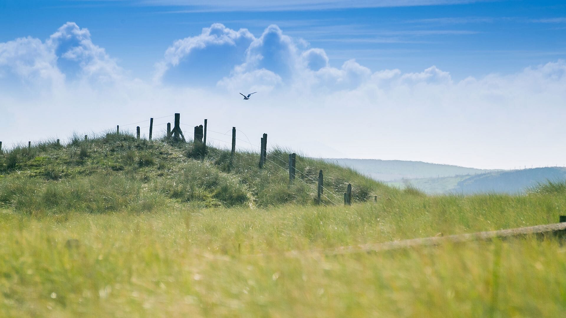 Borth Bach Rhosneigr Anglesey traeth llydan dunes 3 1920x1080