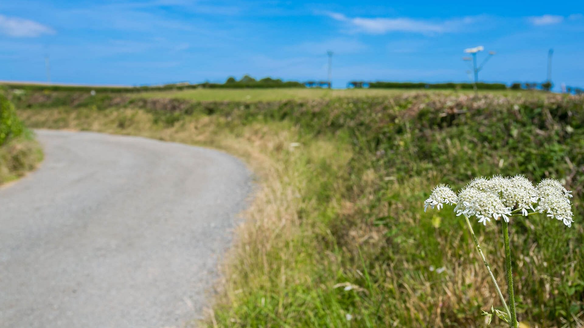 Beudy Odyn Pentraeth Anglesey country lane 1920x1080