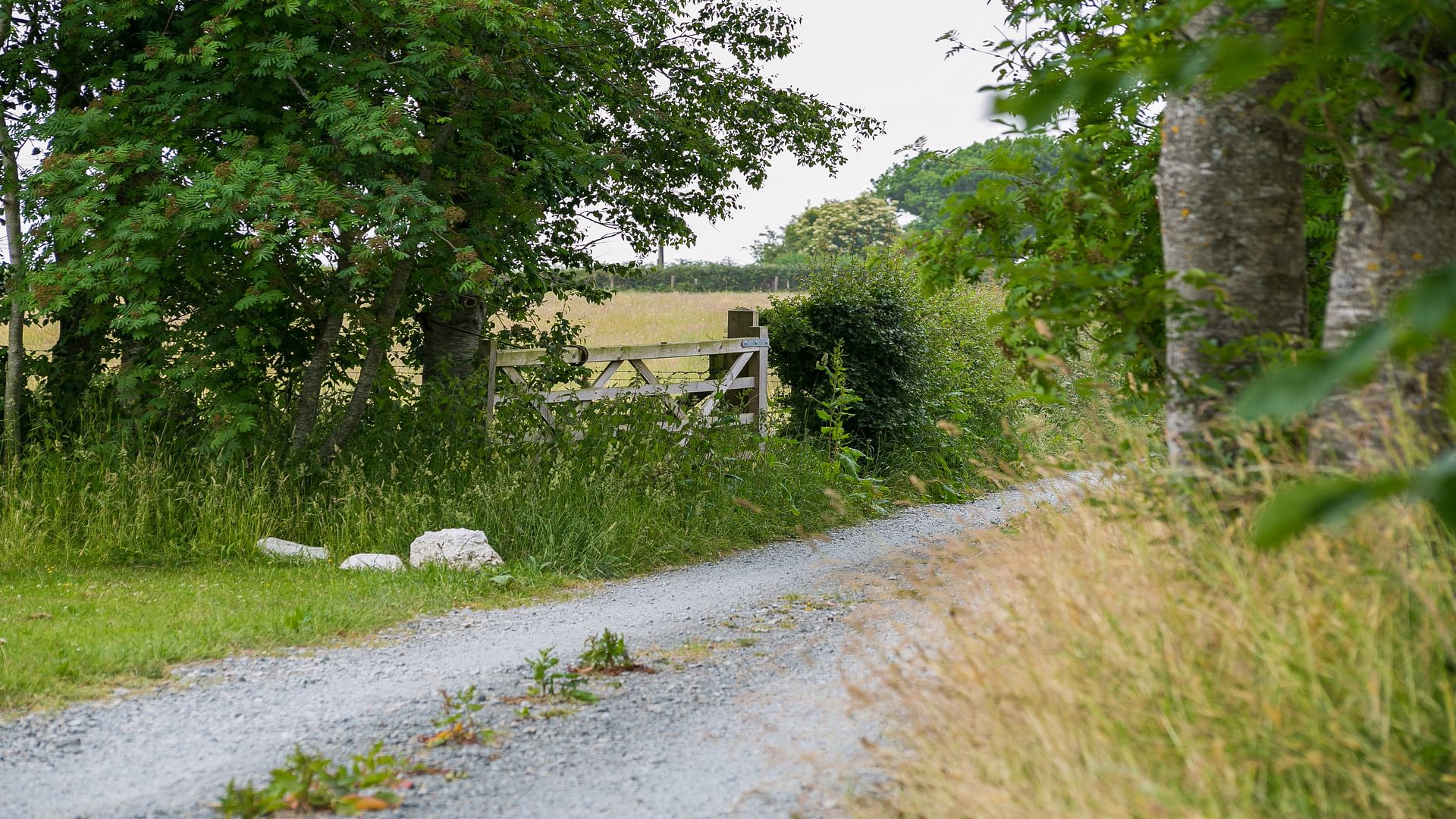 Brithdir Mawr Lon Wern Bangor Gwynedd LL574 BY gate 1920x1080 Copy