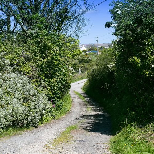 Glan Gors Felin Church Bay Anglesey country lane 1920x1080