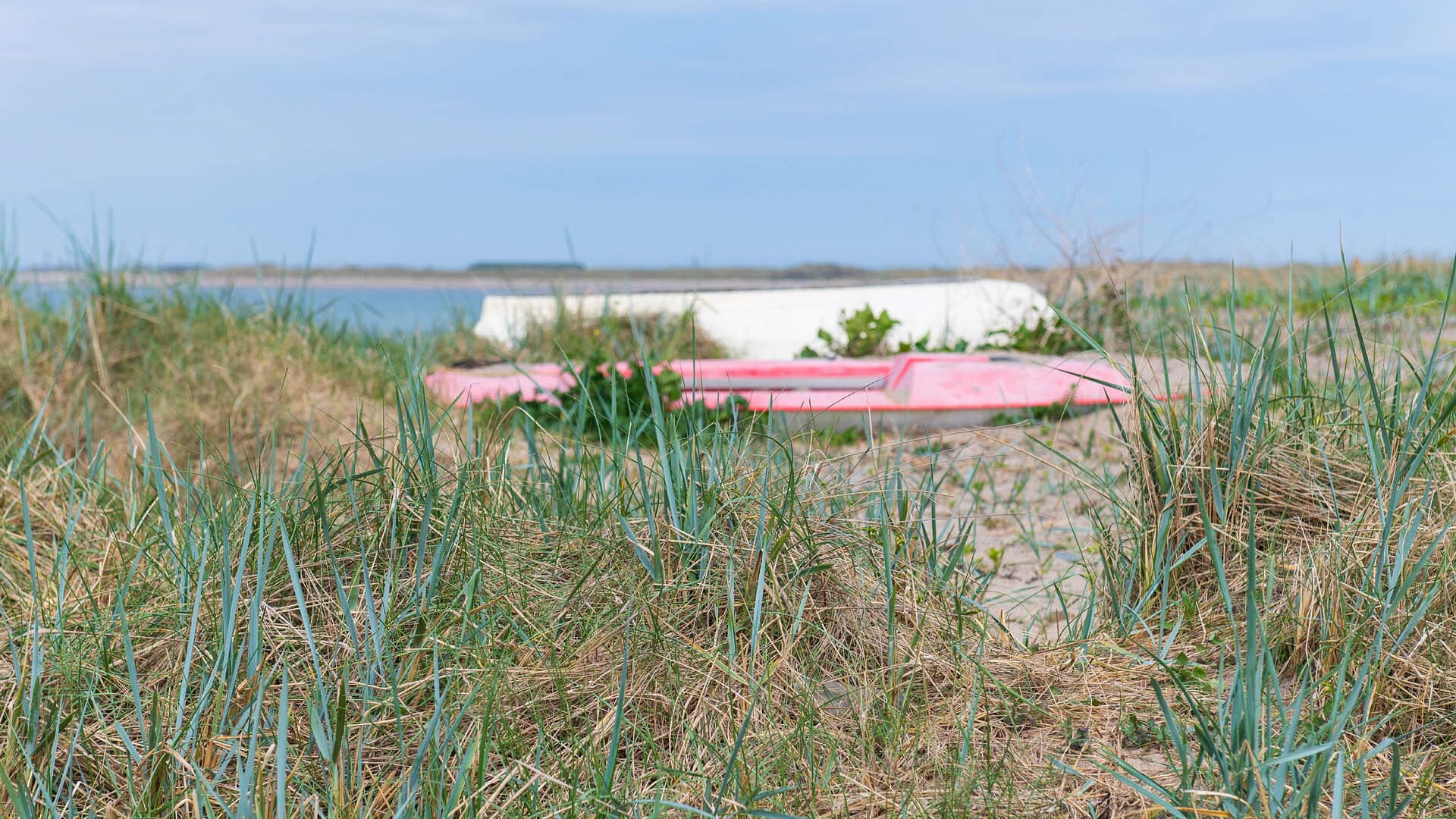 Glandwr Rhosneigr Anglesey beach marram grass 1920x1080