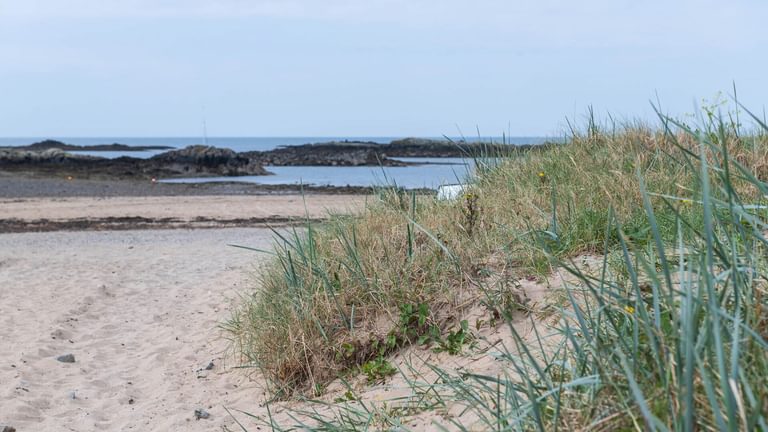 Glandwr Rhosneigr Anglesey beach marram grass 3 1920x1080