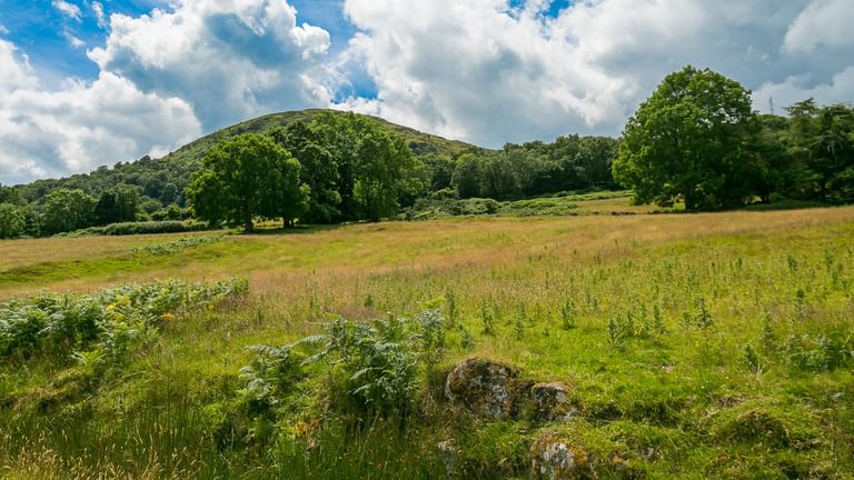 Granary Llwyn Y Gwaew Llanbedr Y Cennin Conwy Gwynedd LL328 UT trees 1920x1080