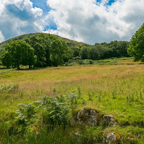 Granary Llwyn Y Gwaew Llanbedr Y Cennin Conwy Gwynedd LL328 UT trees 1920x1080