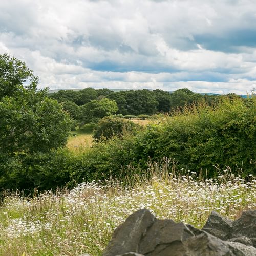 Granary Llwyn Y Gwaew Llanbedr Y Cennin Conwy Gwynedd LL328 UT walls 1920x1080