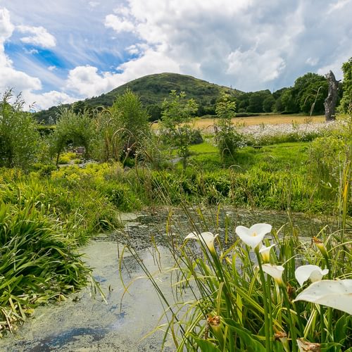 Granary Llwyn Y Gwaew Llanbedr Y Cennin Conwy Gwynedd LL328 UT arum 1920x1080