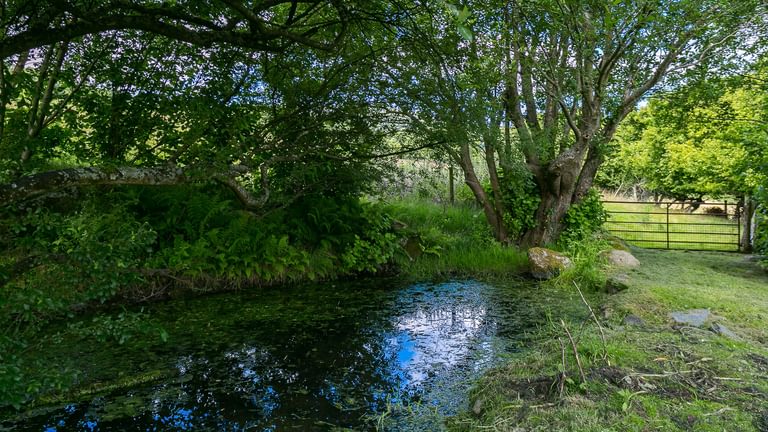 Granary Llwyn Y Gwaew Llanbedr Y Cennin Conwy Gwynedd LL328 UT duck pond 1920x1080