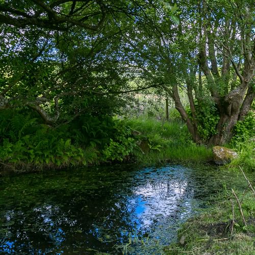 Granary Llwyn Y Gwaew Llanbedr Y Cennin Conwy Gwynedd LL328 UT duck pond 1920x1080