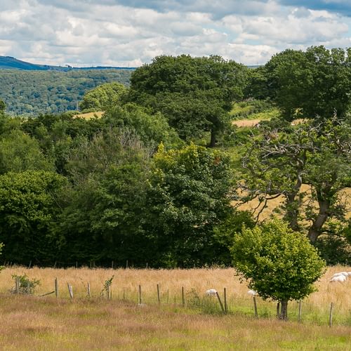 Granary Llwyn Y Gwaew Llanbedr Y Cennin Conwy Gwynedd LL328 UT fencing 1920x1080