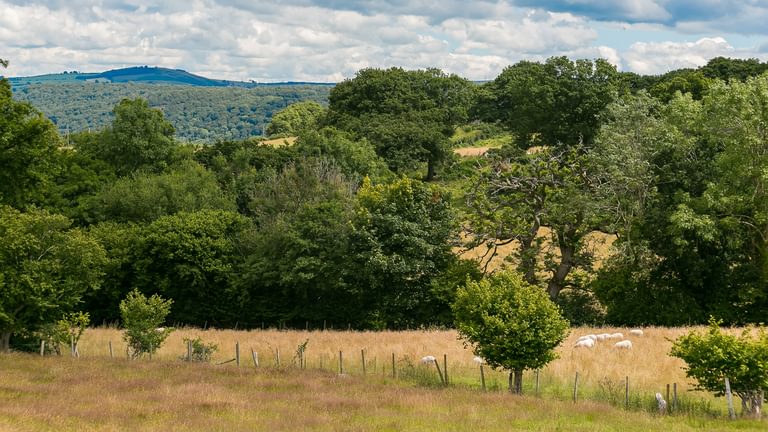 Granary Llwyn Y Gwaew Llanbedr Y Cennin Conwy Gwynedd LL328 UT fencing 1920x1080