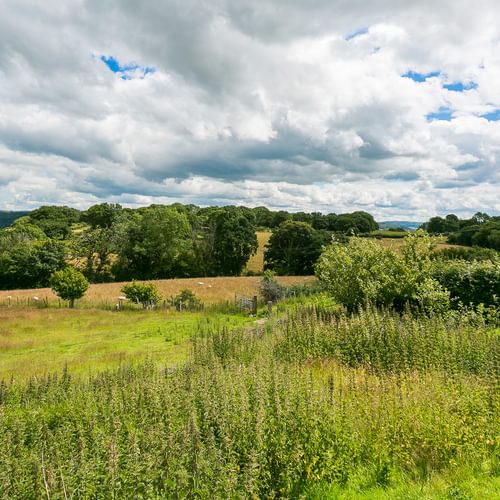 Granary Llwyn Y Gwaew Llanbedr Y Cennin Conwy Gwynedd LL328 UT meadow 1920x1080