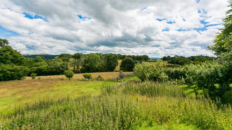 Granary Llwyn Y Gwaew Llanbedr Y Cennin Conwy Gwynedd LL328 UT meadow 1920x1080