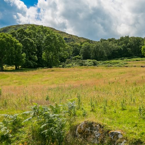 Granary Llwyn Y Gwaew Llanbedr Y Cennin Conwy Gwynedd LL328 UT mound 1920x1080