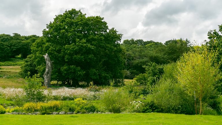 Granary Llwyn Y Gwaew Llanbedr Y Cennin Conwy Gwynedd LL328 UT pondlife 1920x1080