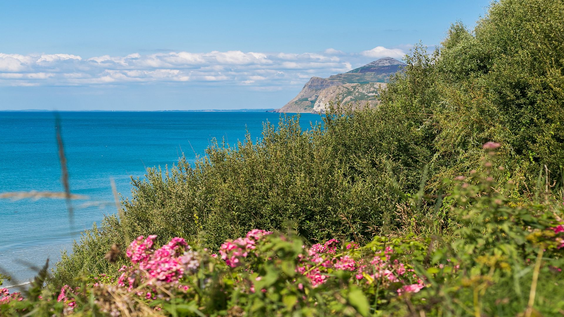 Gwelfor Rhodfar Mor Nefyn LL53 6 EB rock 1920x1080