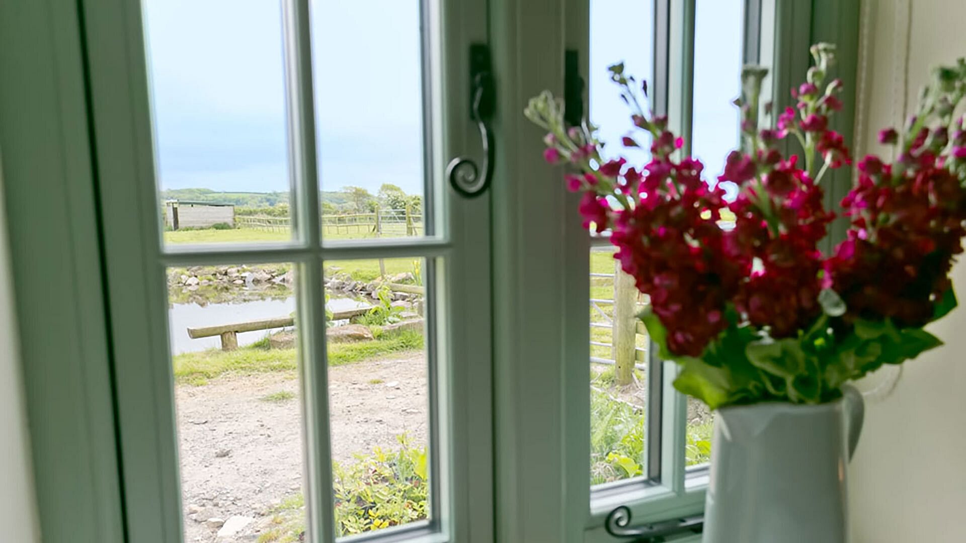 Dog House Bodorgan Anglesey flowers window view 1920x1080