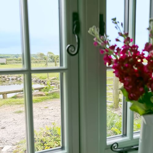 Dog House Bodorgan Anglesey flowers window view 1920x1080