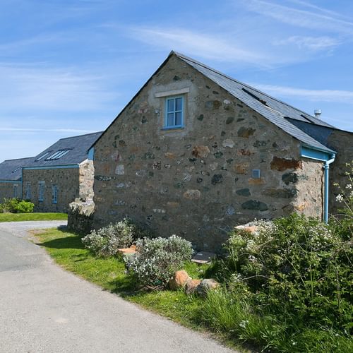 Daisy Moo Llanfaethlu Anglesey Borthwen Barns exterior 1920x1080