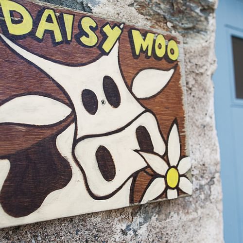 Daisy Moo Llanfaethu Anglesey painted sign 1920x1080