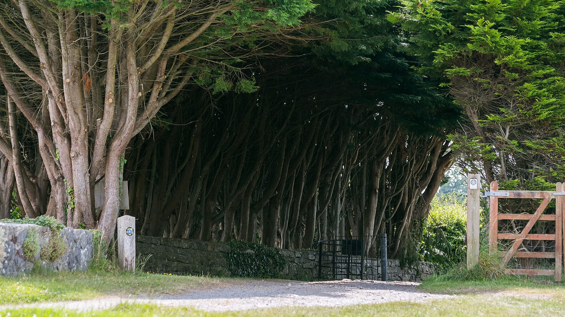 Dinas Cottage Benllech Anglesey driveway 1920x1080