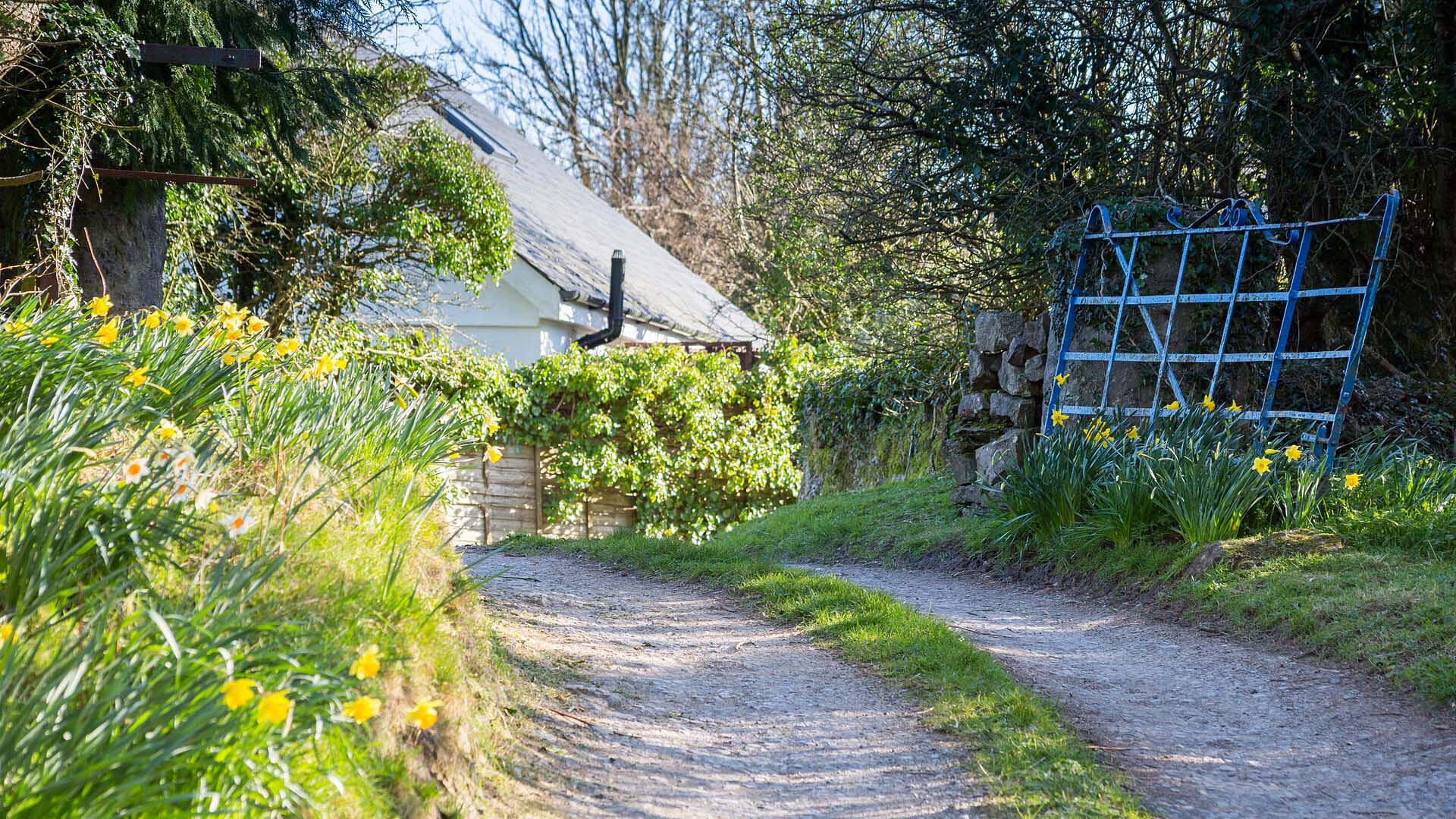 Easter Cabin Lligwy Anglesey driveway 1920x1080