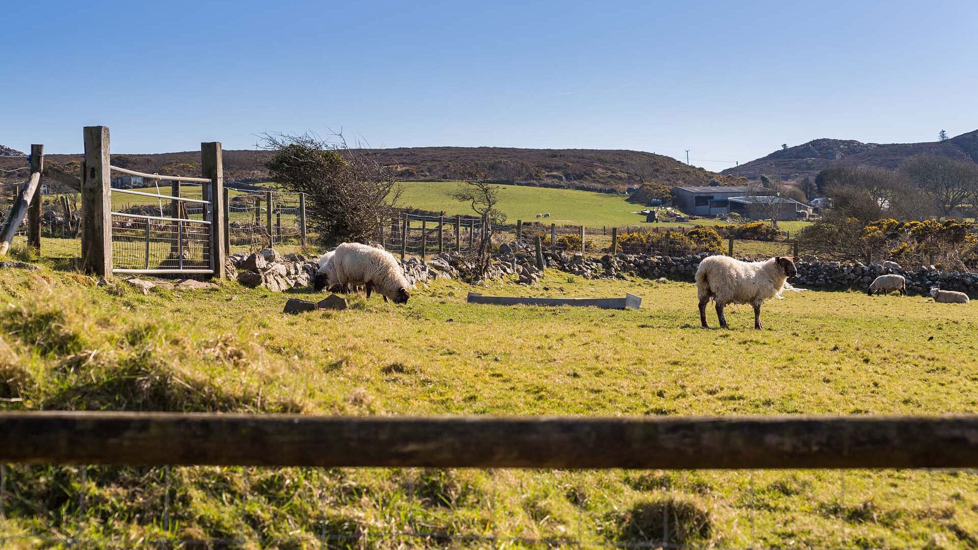 Easter Cabin Lligwy Anglesey rural views 1920x1080